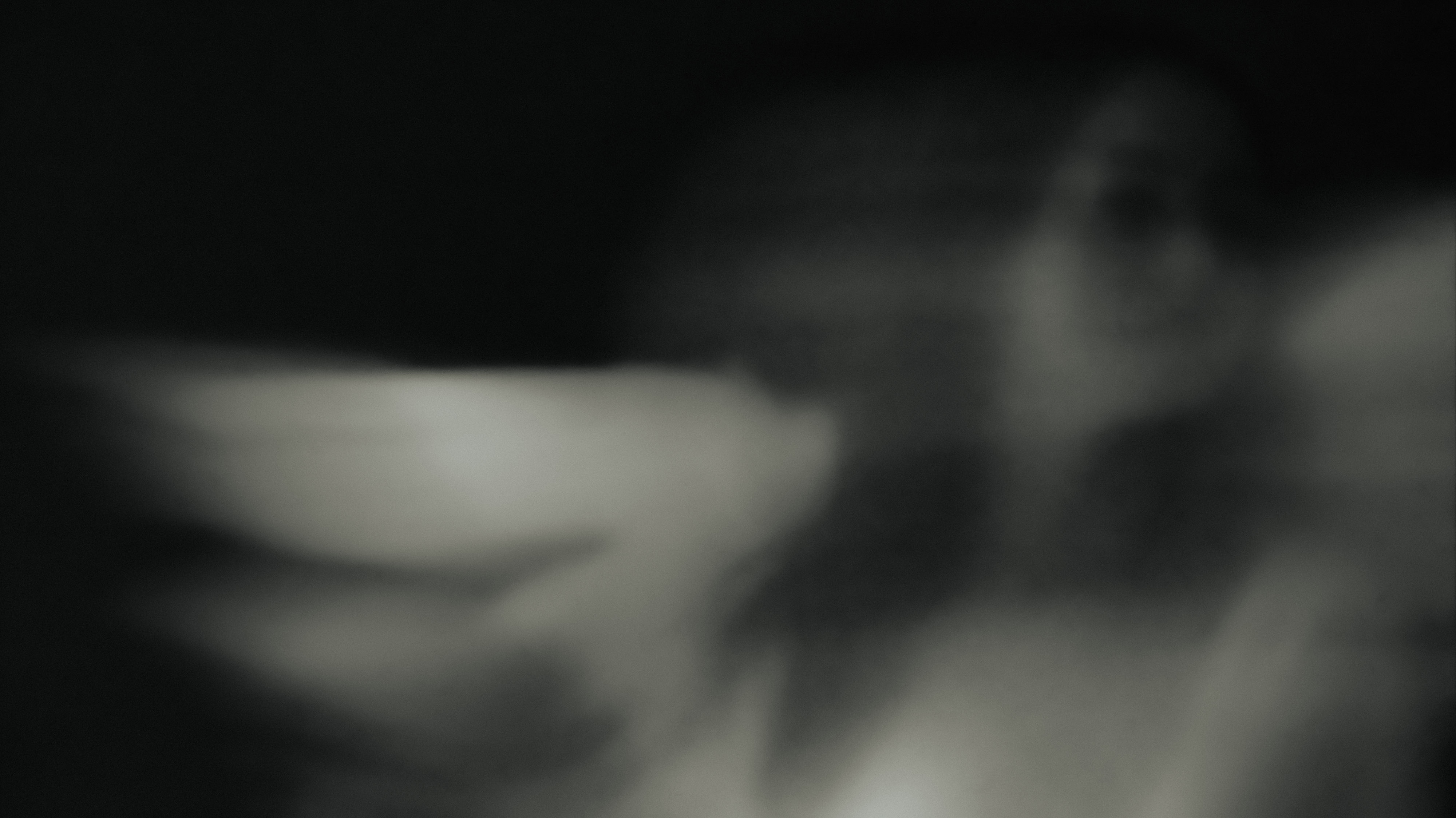 portrait photography